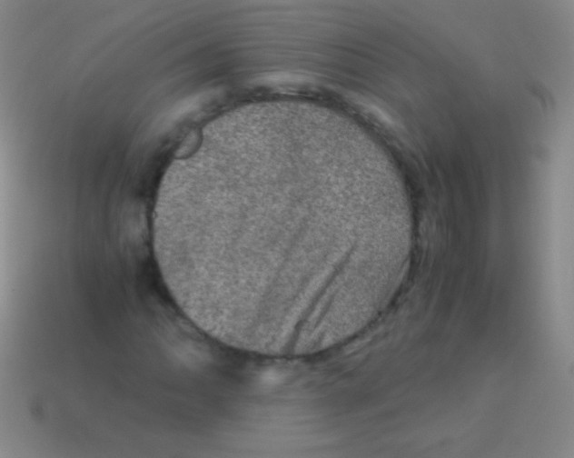 X0000113601062200910161900