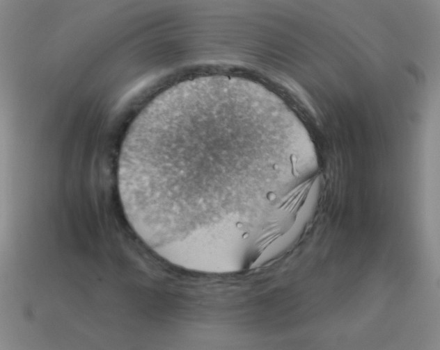 X0000113601064200910161900