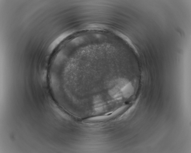 X0000113601066200910161900