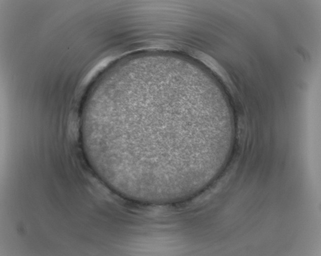 X0000113601067200910161900