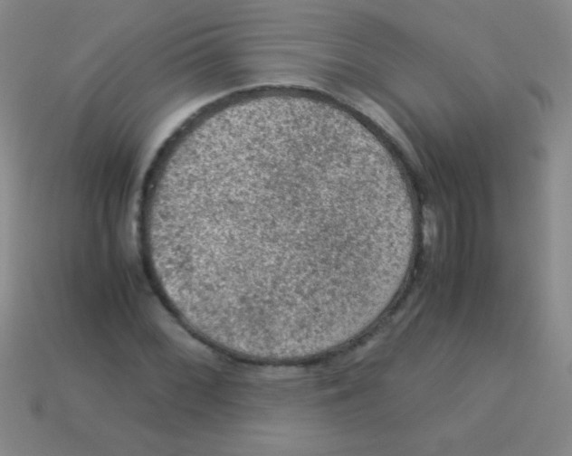 X0000113601068200910161900