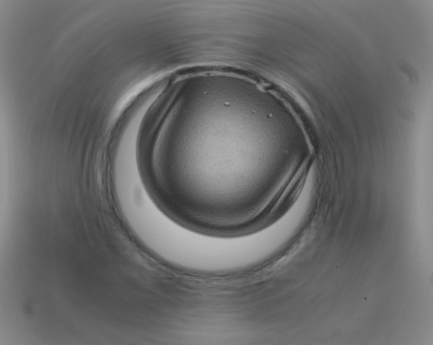 X0000113601069200910161900