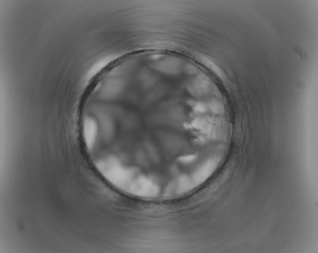 X0000113601071200910161900