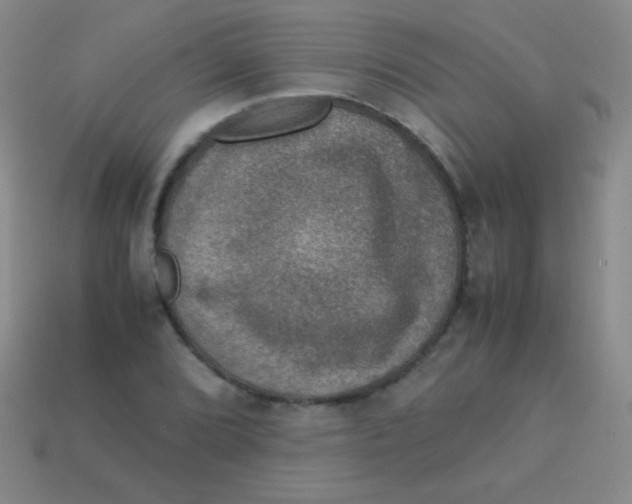 X0000113601072200910161900