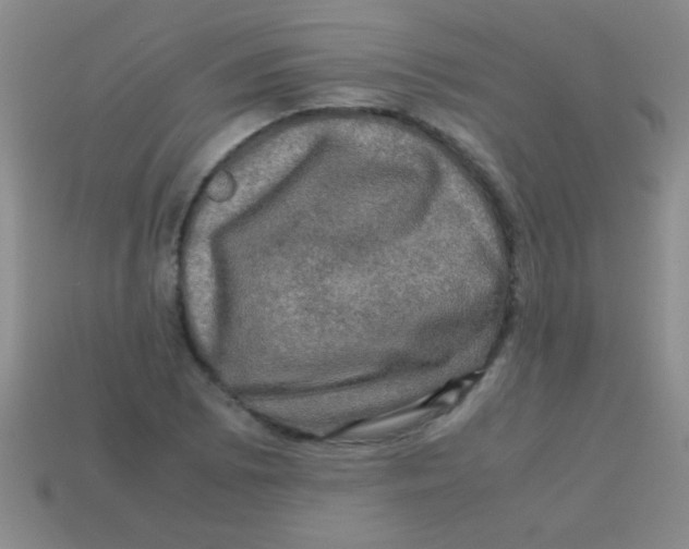 X0000113601073200910161900