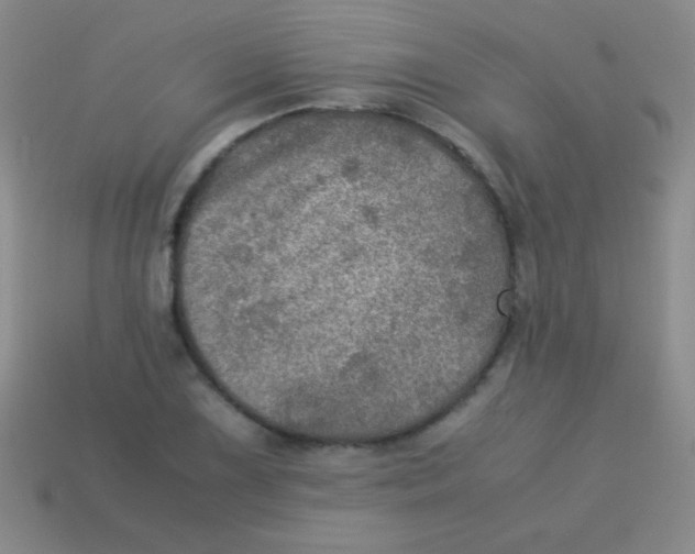 X0000113601075200910161900