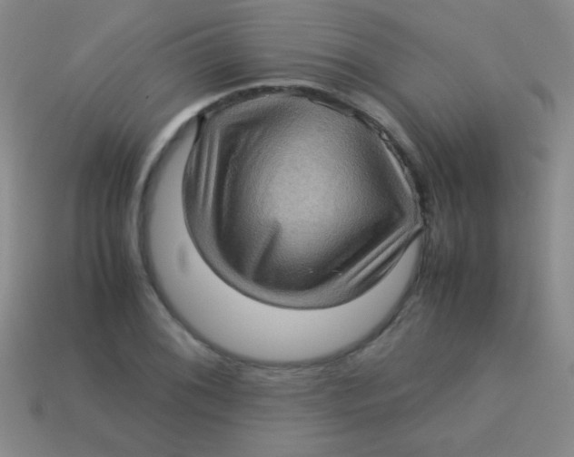 X0000113601076200910161900