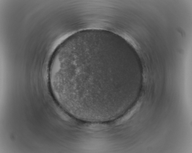 X0000113601077200910161900