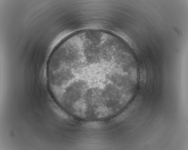 X0000113601078200910161900