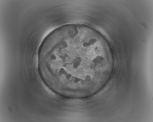 X0000113601079200910161900