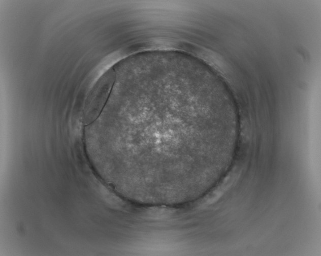 X0000113601081200910161900