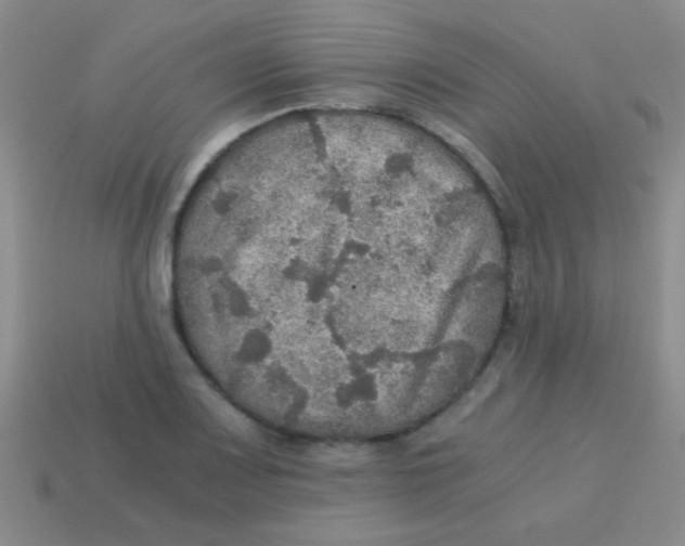 X0000113601083200910161900