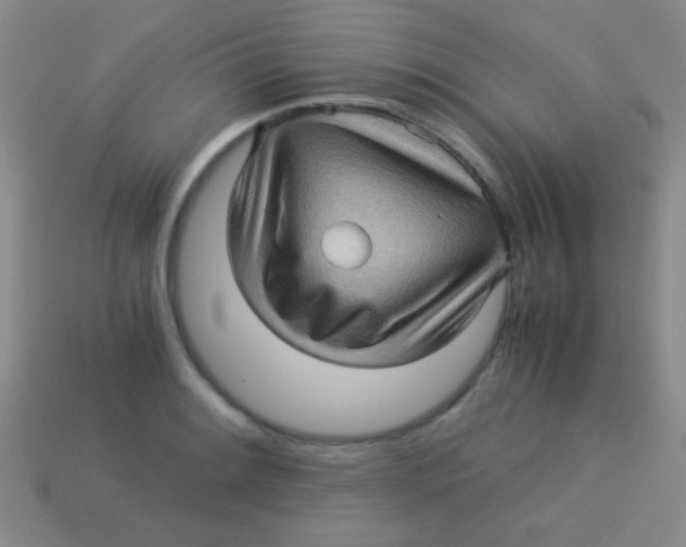 X0000113601084200910161900