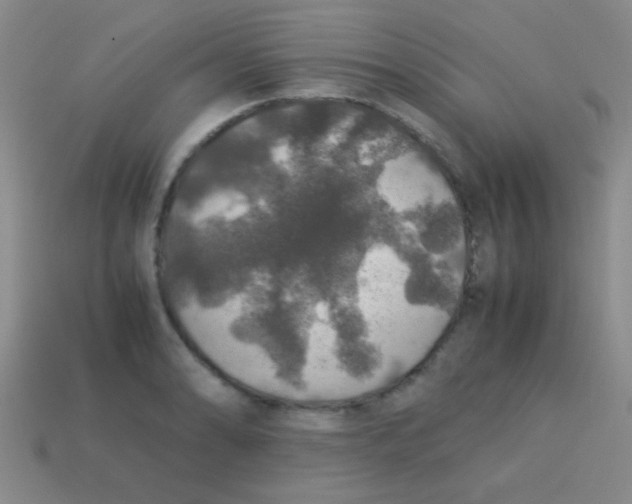 X0000113601086200910161900