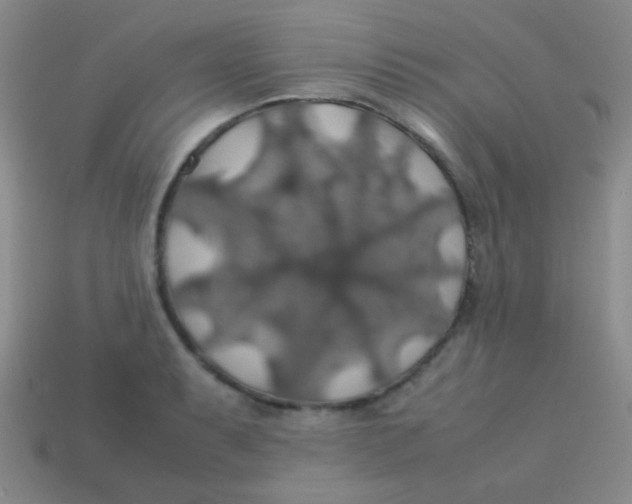 X0000113601087200910161900