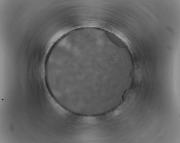 X0000113601088200910161900