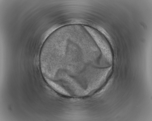 X0000113601089200910161900