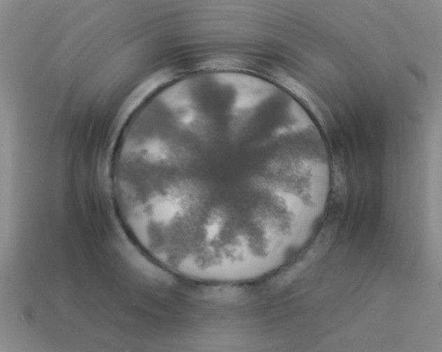 X0000113601090200910161900