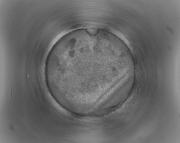 X0000113601091200910161900