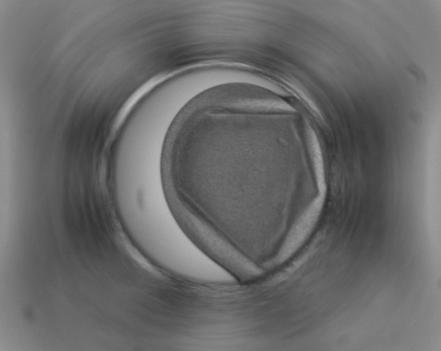 X0000113601092200910161900