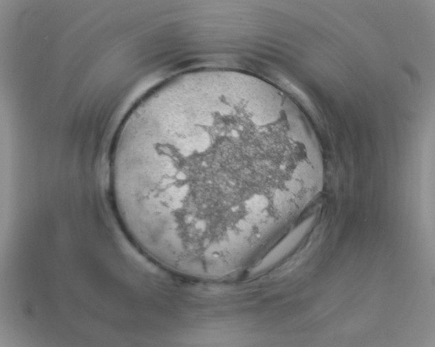 X0000113601095200910161859