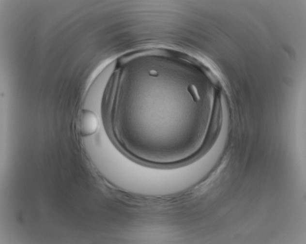 X0000113601097200910161859