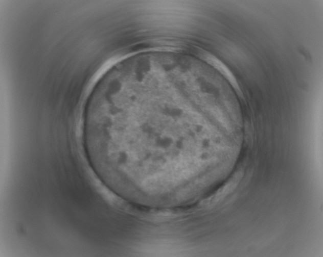 X0000113601099200910161859