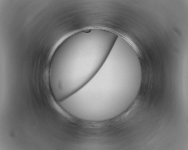 X0000113601100200910161859