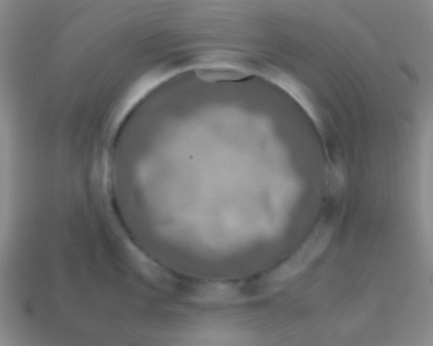 X0000113601101200910161859