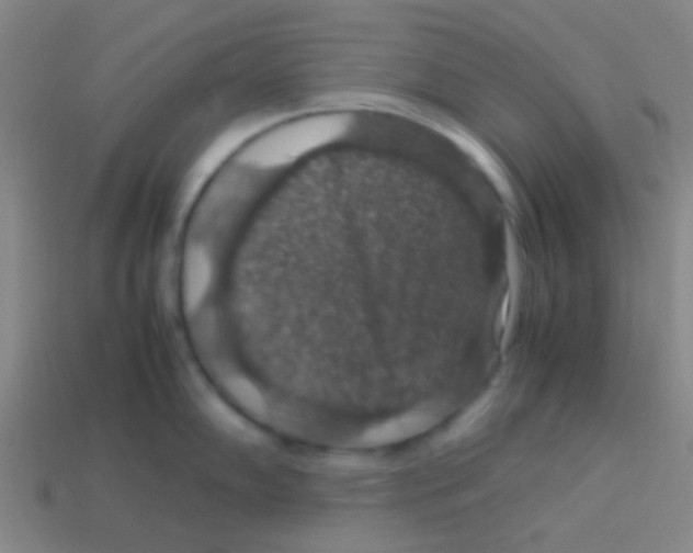 X0000113601102200910161859