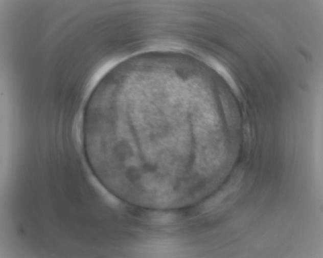 X0000113601103200910161859