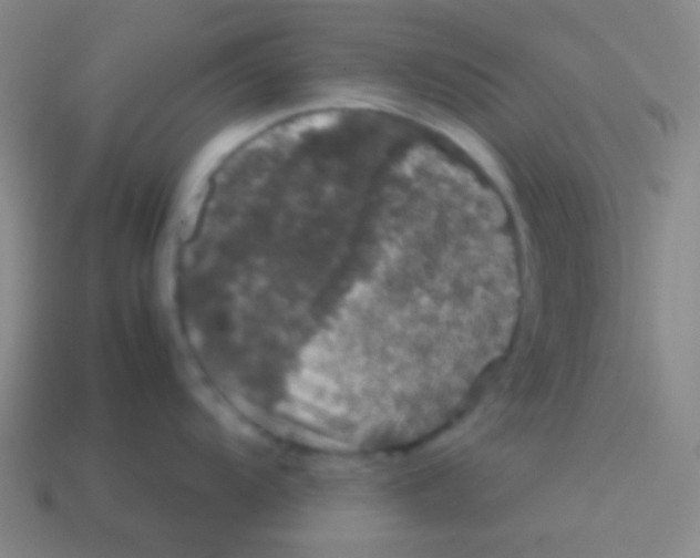 X0000113601104200910161859