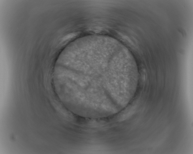 X0000113601105200910161859