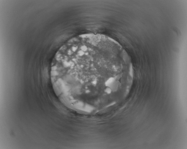 X0000113601106200910161859