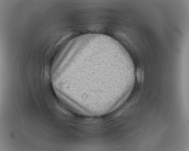 X0000113601107200910161859