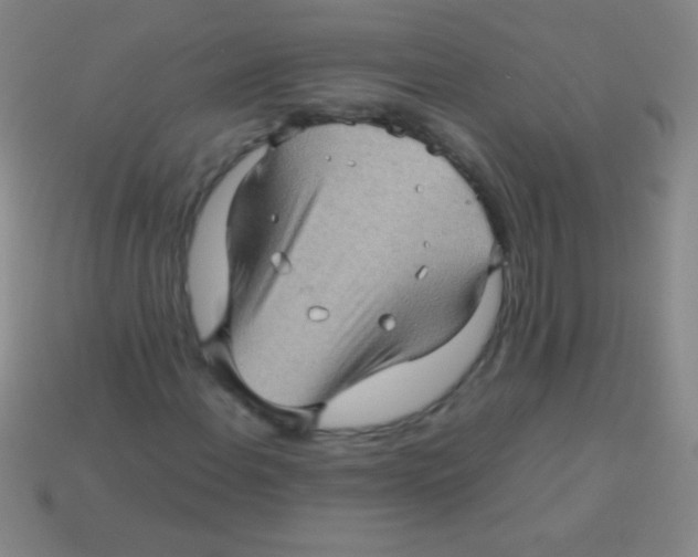 X0000113601108200910161859