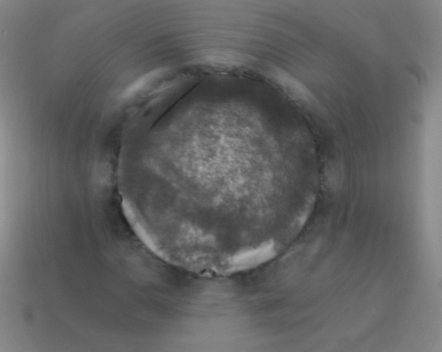 X0000113601110200910161859