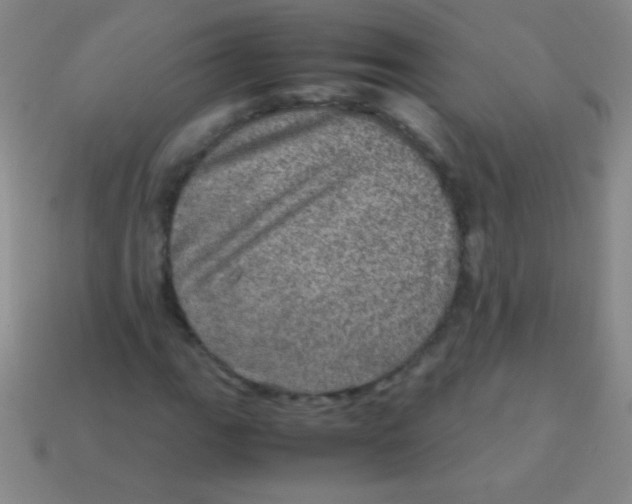 X0000113601111200910161859