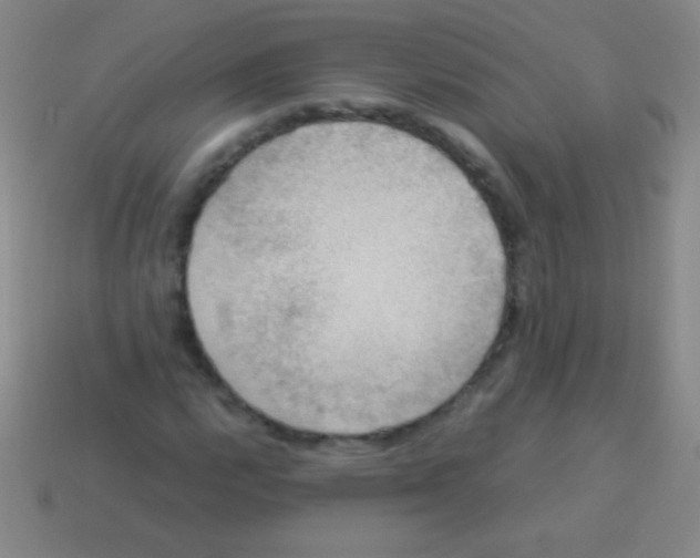 X0000113601112200910161859