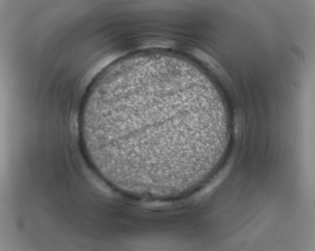 X0000113601113200910161859