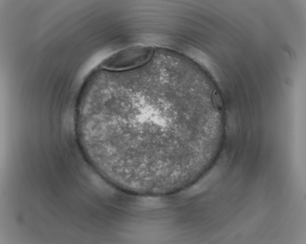 X0000113601114200910161859