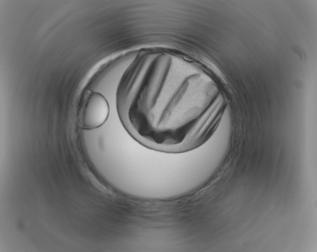 X0000113601116200910161859