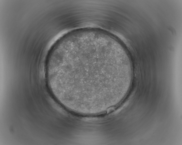 X0000113601118200910161859