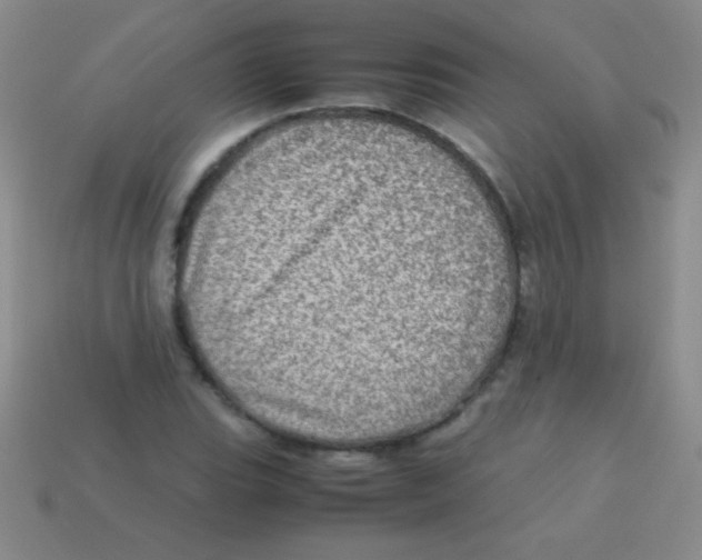 X0000113601119200910161859