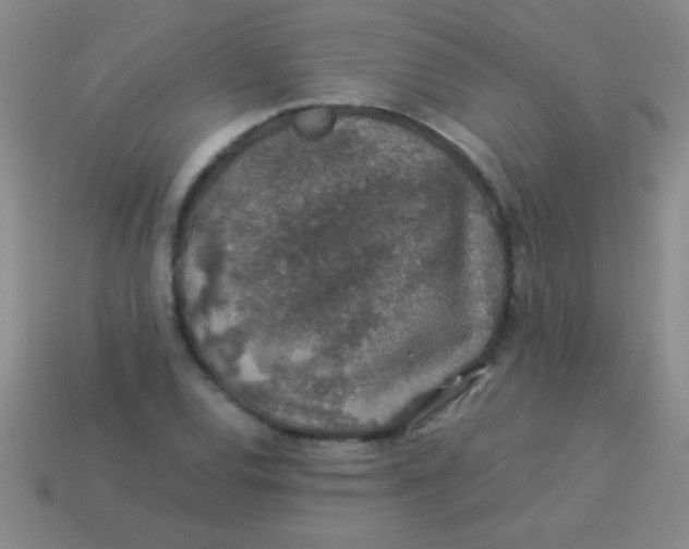 X0000113601120200910161859