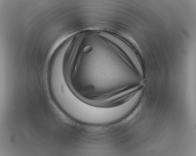 X0000113601122200910161859