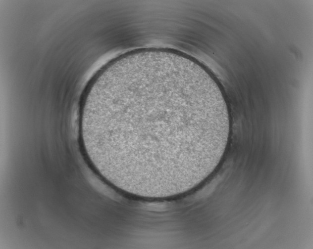 X0000113601126200910161859