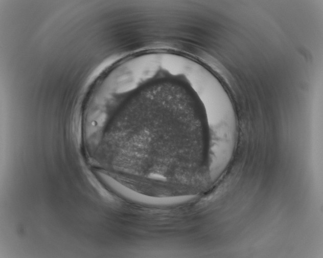 X0000113601127200910161859