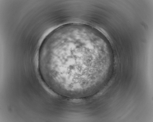 X0000113601128200910161859