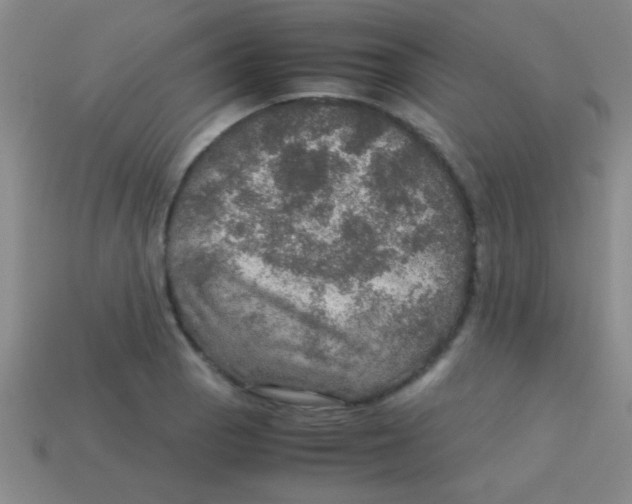 X0000113601129200910161859